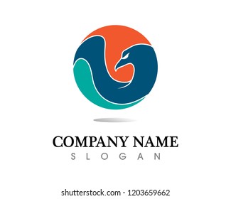 Falcon Wing Logo Template vector icon design
