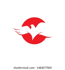 Falcon wing  Logo Template vector illustration design