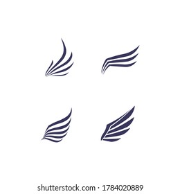 Falcon and wing Logo Template vector illustration design