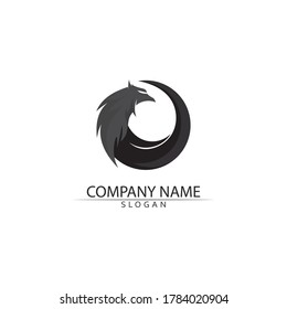 Falcon and wing Logo Template vector illustration design