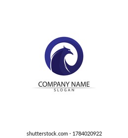 Falcon and wing Logo Template vector illustration design