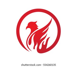 Falcon Wing Logo Template vector icon design