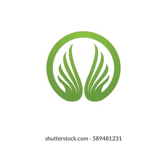 Falcon Wing Logo Template vector icon design