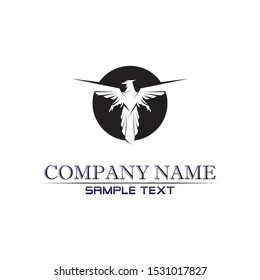 Falcon Wings Logo Template vector icon logo design