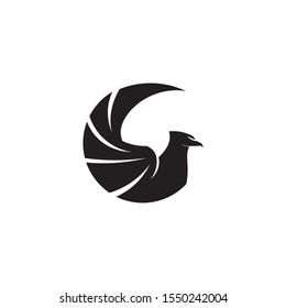 Falcon Wings Logo Template vector icon logo design