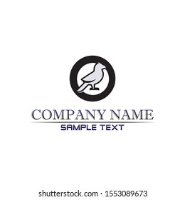 Falcon Wings Logo Template vector icon logo design