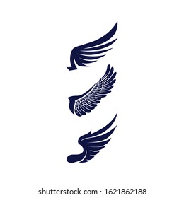 Falcon Wings Logo Template vector icon logo design