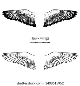 Falcon wings. Vector hand drawn illustration