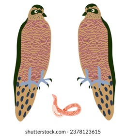 falcons and worm in vector. wild animal in flat style. Template for poster logo icon for app website. Series of animal images in flat style