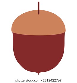 fall acorn autumn nut illustration 