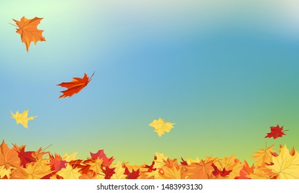 Fall (Autumn) Background With Maple Leaves. Vector Illustration.