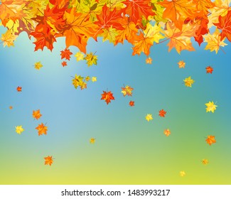 Fall (Autumn) Background With Maple Leaves. Vector Illustration.