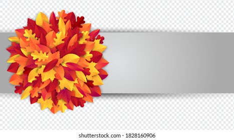 Fall or autumn banner with red and orange maple leaves on the background. Vector illustration.