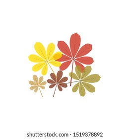 Fall or Autumn Chestnut Leaf Icon Design with White Background