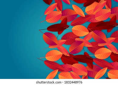 Diseño de otoño con hojas rojas y naranjas sobre fondo azul. Ilustración vectorial.