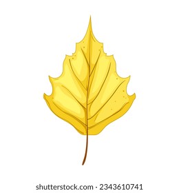 fall autumn leaf cartoon. red maple, orange season, color leaves fall autumn leaf sign. isolated symbol vector illustration