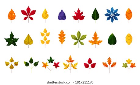 Fall and autumn leaves. Colorful autumn leaf set.Yellow foliage collection. Autumn sale. Flat design. Stamp texture. Greeting cards. Vector illustration for invitation,postcard and sticker.