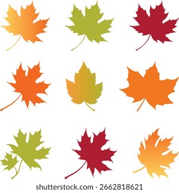 Fall Autumn Leaves Icon Creative Layout, set of maple leaves vector, Clip Art Fall leaf Illustration