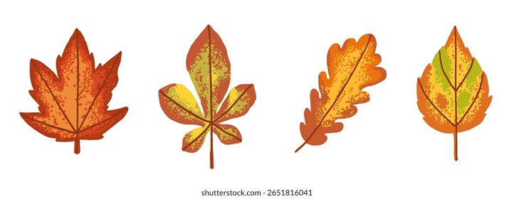 Otoño hojas de arce y roble árbol del bosque. Hoja dibujada a mano con textura grunge de ruido en color rojo y naranja