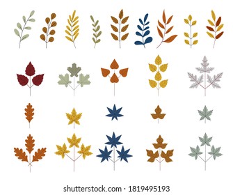 Fall and autumn leaves. Set of tree branches. Botanical forest plants or september october tree foliage. October harvest. Organic vegetable garden food. Nature design.