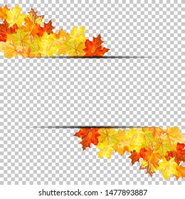 Fall (Autumn) Maple Background. Transparency Grid Design. Vector Illustration.