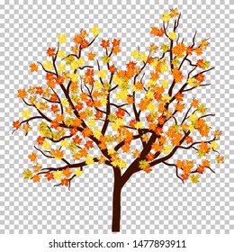 Fall (Autumn) Maple Background. Transparency Grid Design. Vector Illustration.
