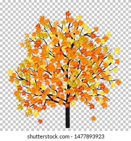 Fall (Autumn) Maple Background. Transparency Grid Design. Vector Illustration.