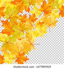Fall (Autumn) Maple Background. Transparency Grid Design. Vector Illustration.