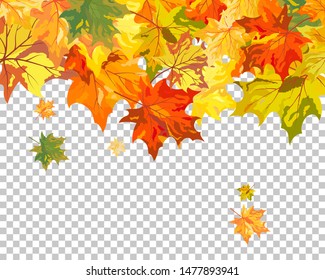 Fall (Autumn) Maple Background. Transparency Grid Design. Vector Illustration.