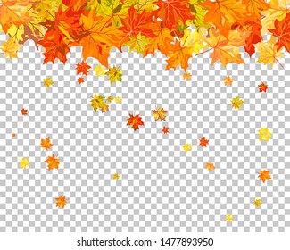 Fall (Autumn) Maple Background. Transparency Grid Design. Vector Illustration.