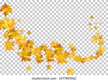 Fall (Autumn) Maple Background. Transparency Grid Design. Vector Illustration.