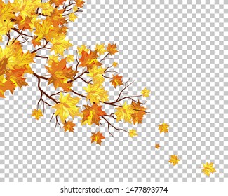 Fall (Autumn) Maple Background. Transparency Grid Design. Vector Illustration.