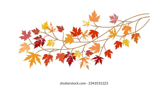 Fall or autumn maple leaves in red orange and yellow design element. Fall vector illustration of colorful tree branch with texture grunge. Autumn clip art.