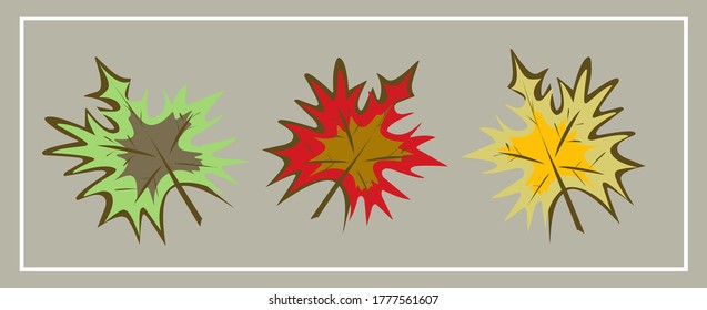 Fall, autumn. Mushrooms. Leaves. Maple. Oak. Pumpkin. Rowan. An Apple. September. October. November. Set of autumn vector isolated images.