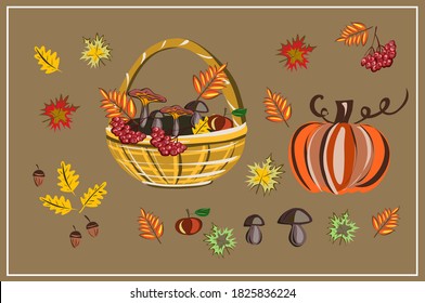 Fall, autumn. Mushrooms. Leaves. Maple. Oak. Pumpkin. Rowan. An Apple. September. October. November. Set of autumn vector isolated images.