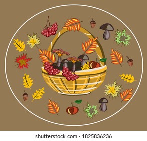 Fall, autumn. Mushrooms. Leaves. Maple. Oak. Pumpkin. Rowan. An Apple. September. October. November. Set of autumn vector isolated images.