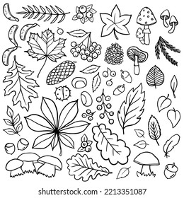 Fall Autumn Nature Doodle linear outline monochrome vector seasonal illustration set for web digital projects and bullet journal isolated on white background 