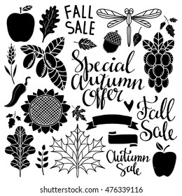 Fall, autumn sale design elements set. Apples, leaves, heart, acorn, ribbon, grape, pepper, sunflower, spikelet, berries, dragonfly. Calligraphic text, handwritten. Isolated on white background