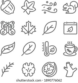 Fall Autumn Season icon illustration vector set. Contains such icons as Leaves, Winter, Coffee, Butterfly, Walnut, Squirrel, and more. Expanded Stroke