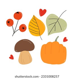 Fall. Autumn. Set with aspen leaf, rowan branch with berries, poplar leaf, pumpkin, forest mushroom, boletus.  Vector illustration. Isolated object advertising, printing, banners, web, cartoon sticker