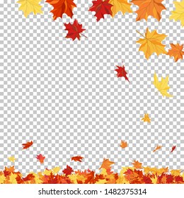 Fall (Autumn) Theme With Maple Leaves. Transparency Grid Background Design. Vector Illustration.
