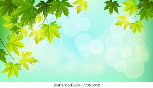 Fall background for autumn season with collection of orange and yellow maple leaves falling and with empty or blank space for text. Vector illustration.
