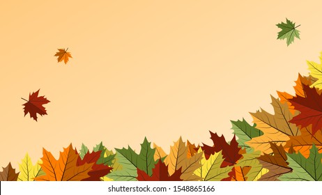 Fall background with colorful  autumnal maple leaves. Vector banner with frames for sale, advertising, poster, web.