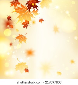 Fall background with maple leaves. Copy space