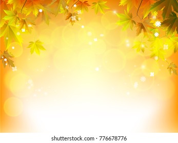 Fall background for orange season with collection of orange and yellow maple leaves falling and with empty or blank space for text. Vector illustration.