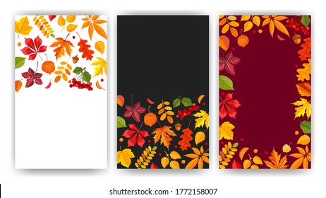 Fall backgrounds set. Layouts with bright autumn leaves, frame, place for text. Festive design for Thanksgiving or autumn sale, banner, greeting cards, etc. Vector illustration. 