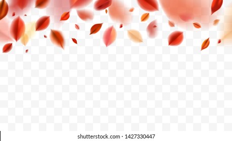 Queda borrada voando folhas vermelhas, outono natureza vetor design elementos para decoração de fotos