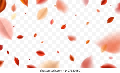 Fall blurred flying red leaves, autumn nature vector design elements for photo decoration