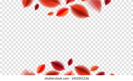 Fall blurred flying red leaves, autumn nature vector design elements for photo decoration