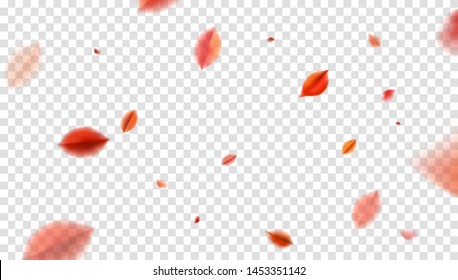 Fall blurred flying red leaves, autumn nature vector design elements for photo decoration